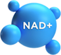 Blue NAD+ molecule illustration